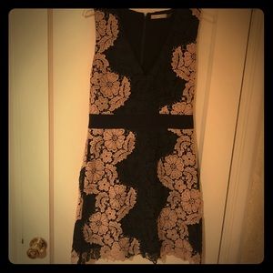 Alice + Olivia Lace Pink and Black Dress